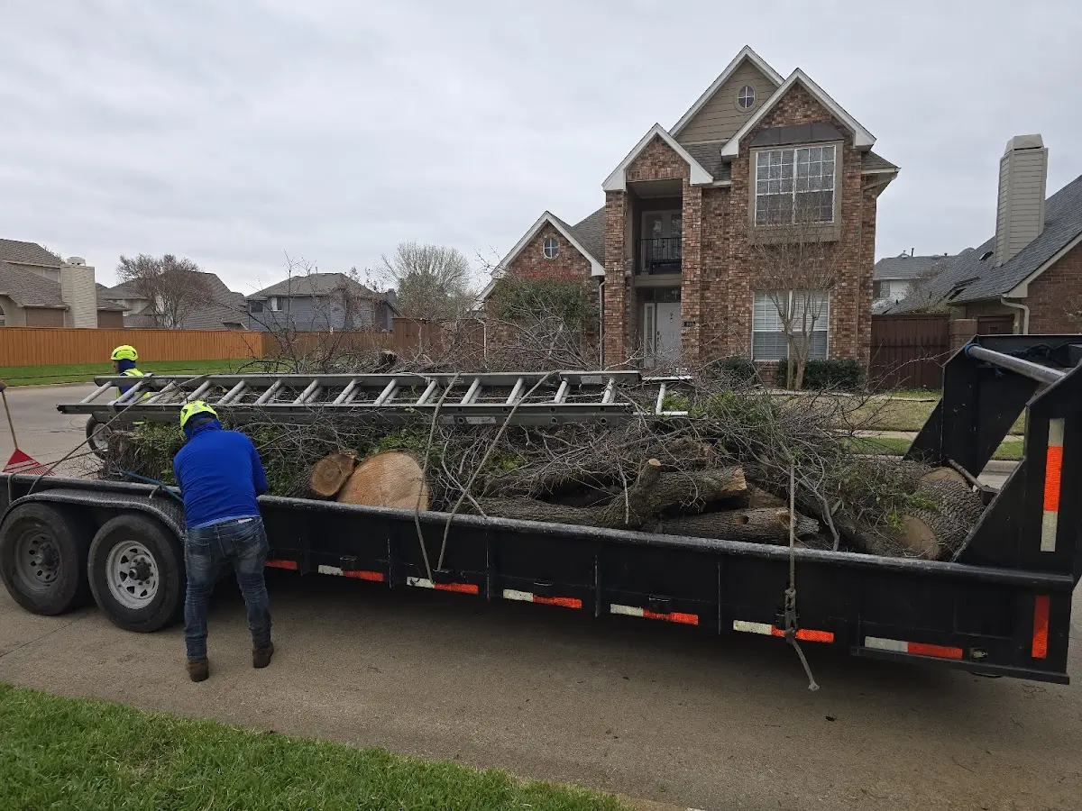 Expert Crown Reduction with proper safety equipment in Otisco